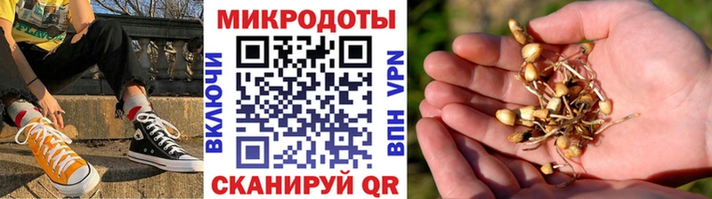 мориарти какой сайт  Белогорск  Галлюциногенные грибы GOLDEN TEACHER 
